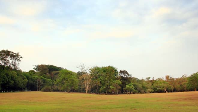 Purwodadi Botanical Garden, A Conservation as well Tourism Spot