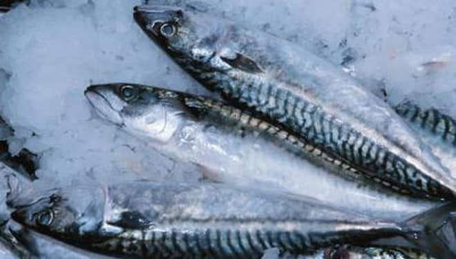 Agar Tak Terkontaminasi Bakteri, Ini Tips Mencairkan Ikan Beku yang Tepat