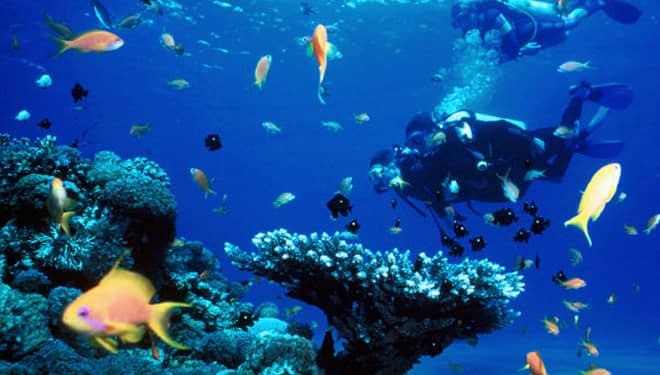 Pulau Maspari, The New Raja Ampat of South Sumatera