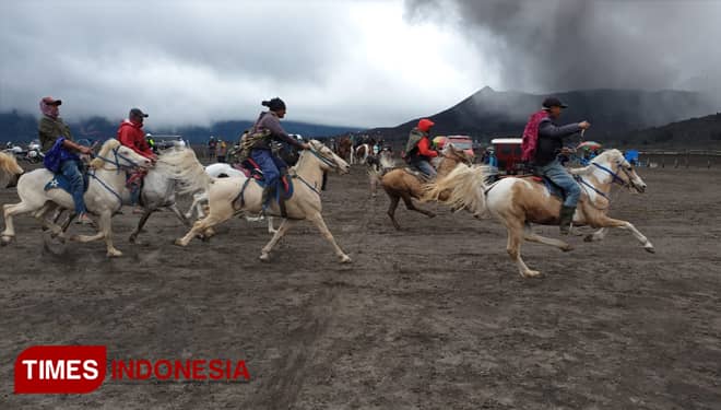 Begini Serunya Balapan Kuda Wisata di Laut Pasir Bromo