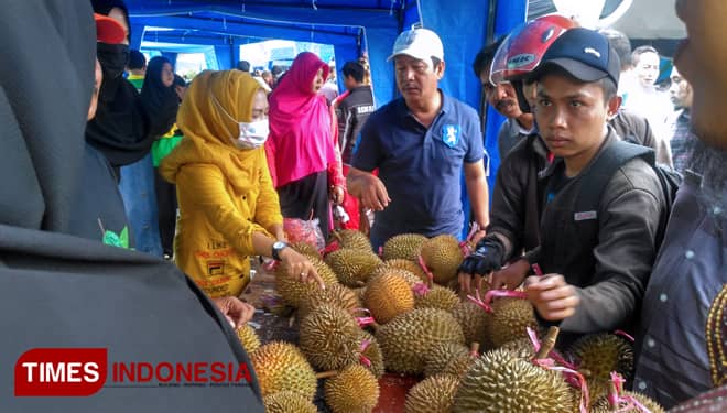 Pembukaan Kampung Duren Bondowoso Diramaikan Pembagian Durian Gratis