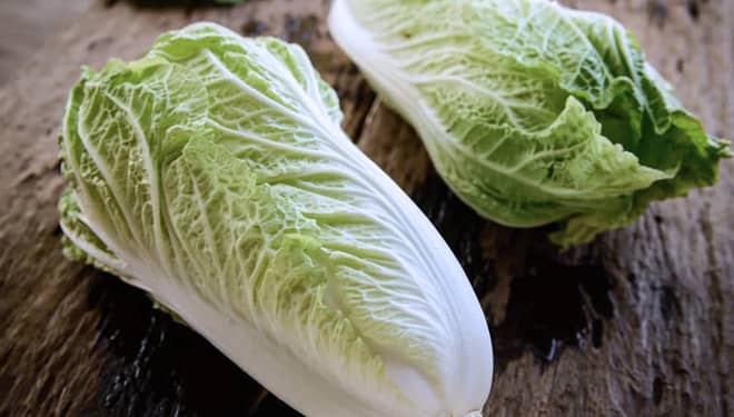 Kaya Nutrisi Penting, Yuk Intip Manfaat Sawi Putih untuk Kesehatan Tubuh