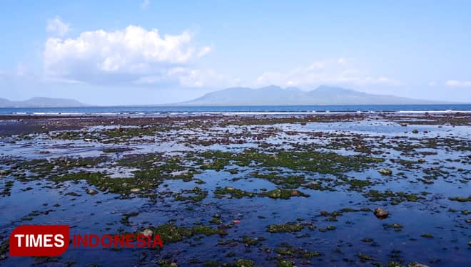 Pantai Cacalan, Tawarkan Sunrise dan Panorama Selat Bali