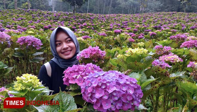 Serunya Menikmati Wisata Surga yang Terpendam di Kecamatan Bumiaji