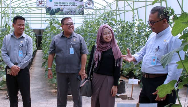 Kunjungi Polije, Utusan Kemenko PMK Kagumi TEFA dan Smart Garden House