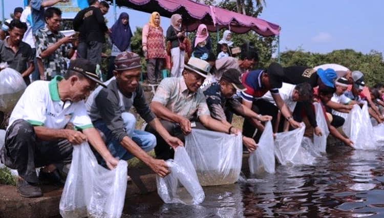Ratusan Ribu Benih Ikan Ditebar ke Danau Ulak Lia