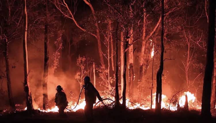 ICC NSW Gather Donations for Australian Fire Victims