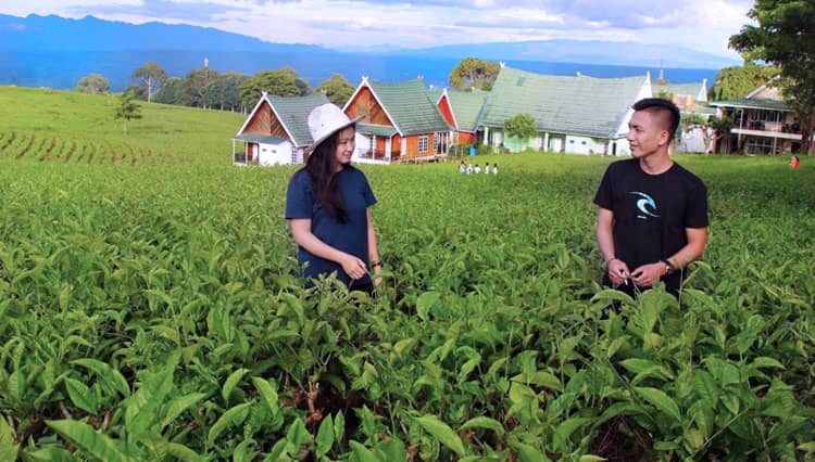 2019, Wisatawan ke Pagar Alam Meningkat 17,64 Persen