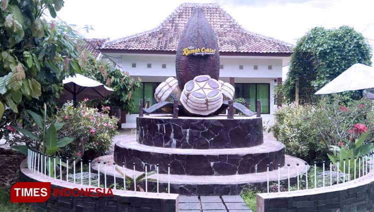 Rumah Coklat Trenggalek Menceritakan Perjalanan Kakao dari Hulu ke Hilir