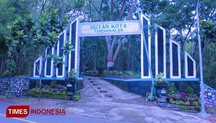 Hutan Kota Trenggalek, Wahana Edukasi Flora Fauna Gratis