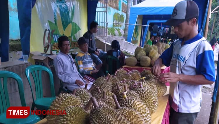 Menengok Meriahnya Festival Durian di Desa Sukowono Bondowoso