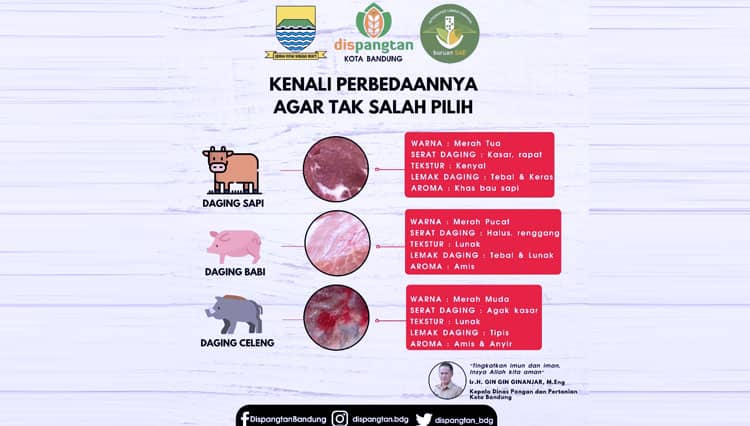 Inilah Perbedaan Daging Sapi, Babi dan Daging Celeng