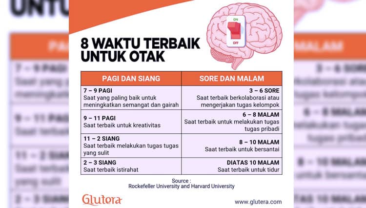 Catat! Ini Waktu Terbaik bagi Otak