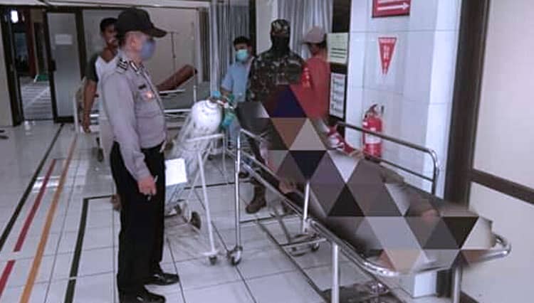 Enam Penebang Pohon Tersambar Petir, 1 Meninggal Dunia