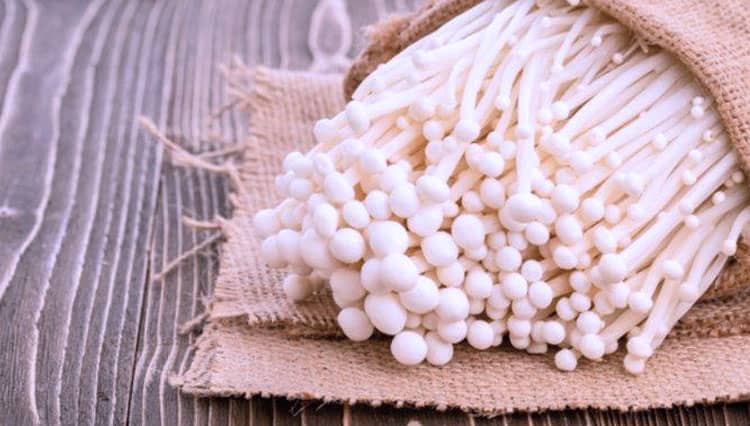 Jamur Enoki, Tanaman Liar yang Jadi Bahan Makanan dan Obat