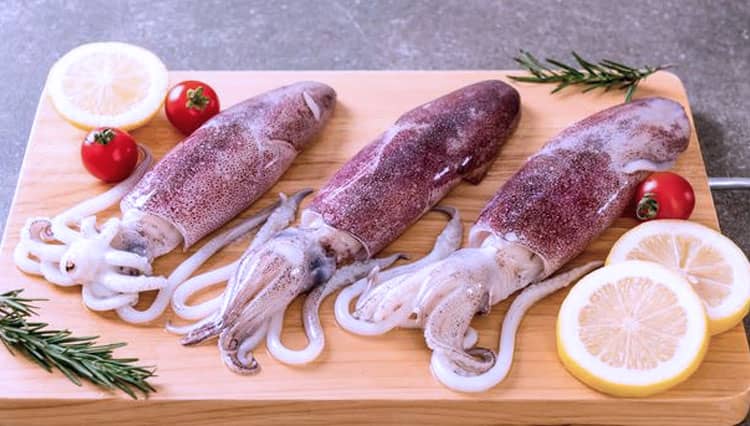Cumi-Cumi, Seafood Favorit yang Kaya Manfaat