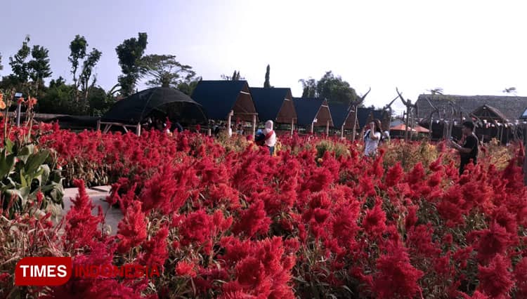 Nangkula Park, a Sight for a Sore Eyes in Tulungagung