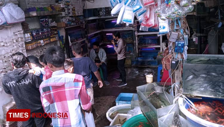 Berburu Ikan Hias di Pasar Ikan Splendid, Melepas Kejenuhan Saat Pandemi