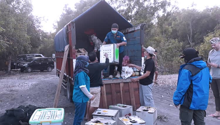 40 Monyet Ekor Panjang Dilepas di Pulau Nusa Barong