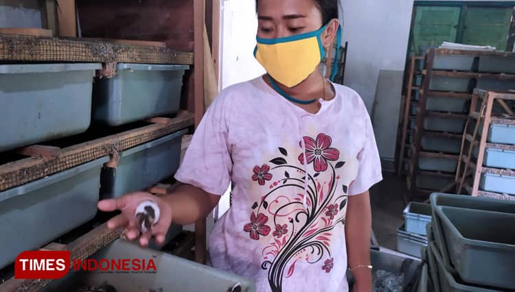 Kisah Wanita Jombang Tak Jijik Pilih Bisnis Ternak Tikus