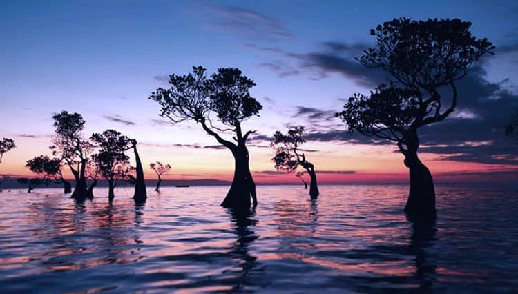 The Beauty of Sunset in Walakiri Beach