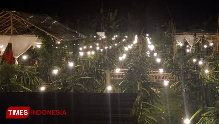 Serunya Berwisata Malam, Menjelajahi Astaga Dragon di Banyuwangi