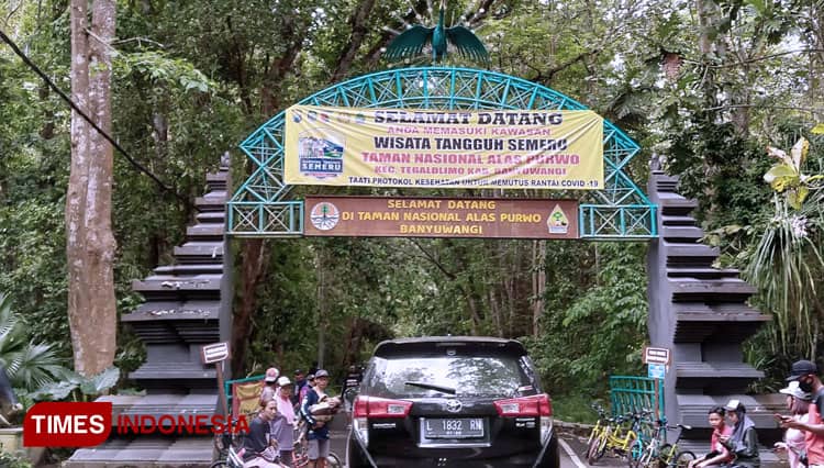 Kesan Awal Alas Purwo Menyeramkan, Ternyata Menyenangkan Saat Dikunjungi