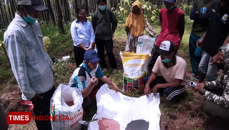 Petani Kopi di Lereng Argopuro Butuh Pendampingan Budidaya TBM 1