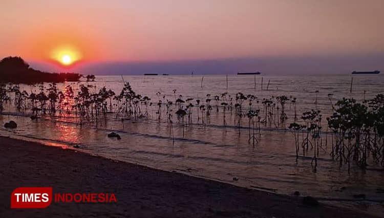 Easy Tips to Capture Stunning Sunset with Your Camera