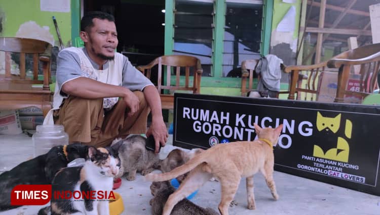 Mohammad Djafar dan Panti Kucing yang Menunggu Keajaiban Di Tengah Pandemi Covid-19