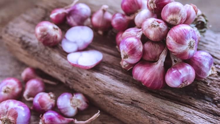 Cara Membuat Perangsang Akar Tanaman dari Bawang Merah