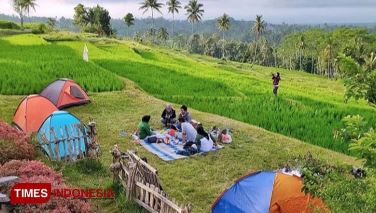 Rasakan Sensasi Sejuk Kemping Bareng Keluarga di Taman Langit Banyuwangi