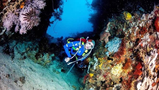 Mengintip Eksotika Galo-Galo Cave Pulau Morotai yang Dikagumi Dubes AS