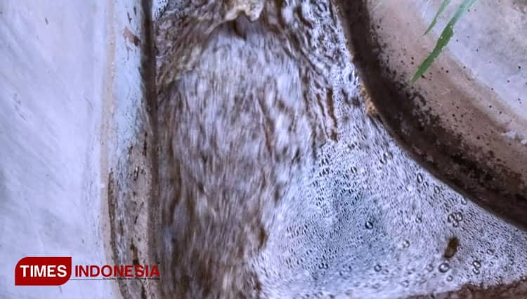 Limbah Pabrik Sumpit Cemari Lahan Pertanian di Bondowoso