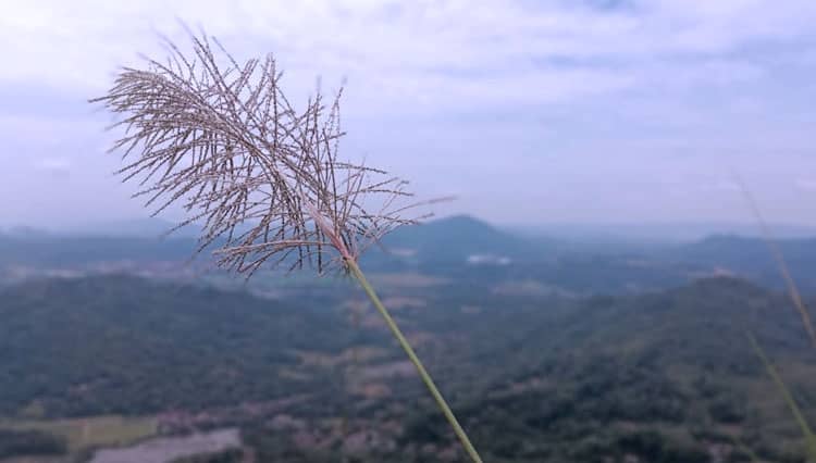 Desa Cibangkong Banyumas Jadi Tuan Rumah Paragliding Trip of Indonesia