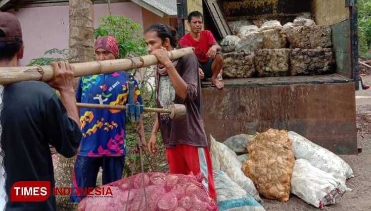 Karet Mentah Pangandaran Jadi Bahan Baku Produksi Ban di Semarang