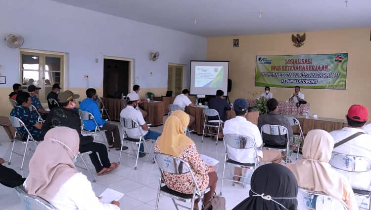 Dibayang-Bayangi Risiko Kerja, PTPN XII Kertowono Komitmen Daftarkan Pekerja ke BPJAMSOSTEK