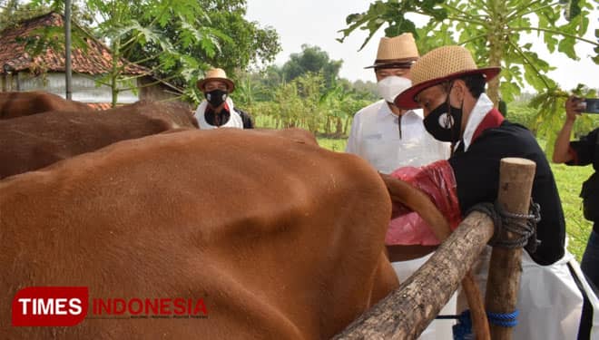 Lamongan Siap Jadi Tulang Punggung Industri Peternakan Jatim