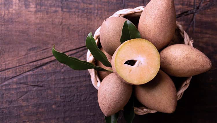 Manfaat Buah Sawo untuk Tubuh