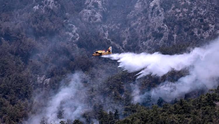 Pesawat Pemadam Kebakaran Rusia Jatuh di Turki Delapan Orang Meninggal Dunia