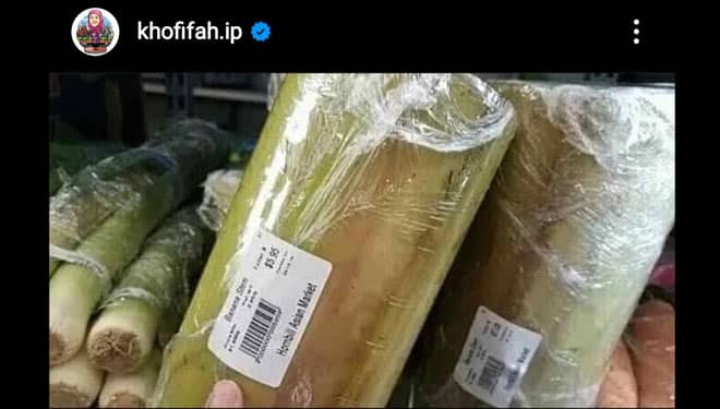 Kaget Harga Fantastis di AS, Gubernur Jatim Khofifah Ajak Petani Manfaatkan Gedebog