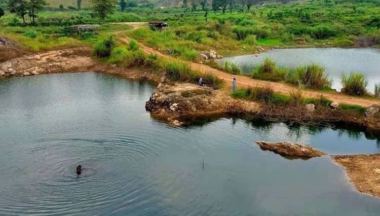 List of 6 Top-Rated Tourist Attractions in Tegal, Central Java