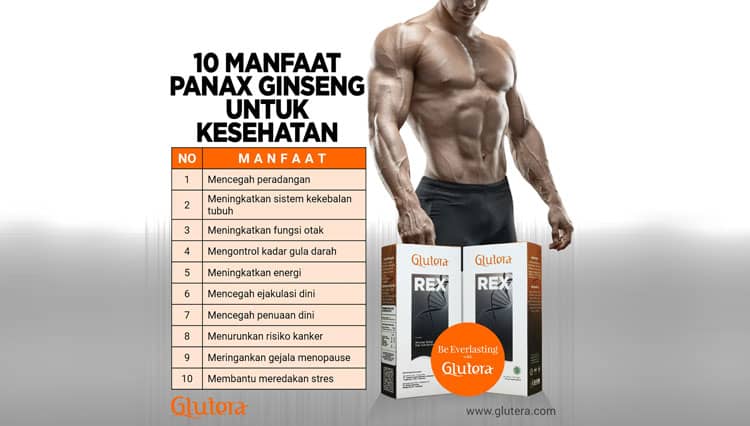 10 Manfaat Ampuh Panax Ginseng bagi Kesehatan