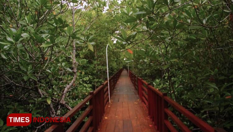 Wisata Sekaligus Belajar di Hutan Mangrove Guraping