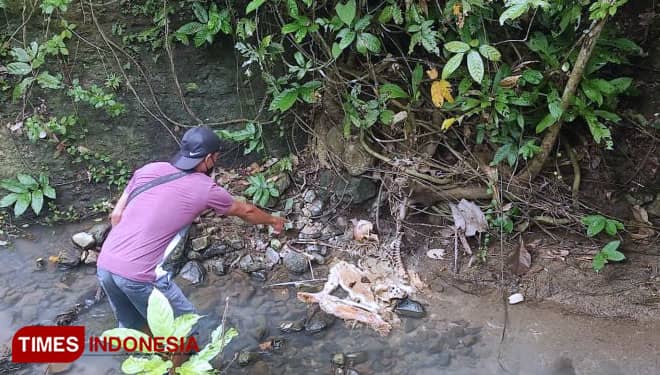 Warga Temukan Kerangka Manusia di Perhutani Banyuwangi Selatan