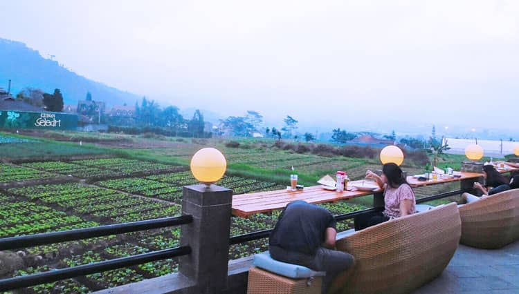 Rekomendasi Tempat Kongkow di Malang yang Asyik dan Instagramable