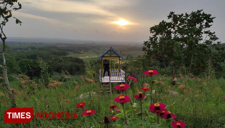 Menikmati Pesona Eksotis Sunset di Wisata Bukit Serut Blora