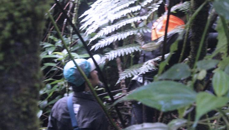 Kawah Purba di Tasikmalaya Jadi Trek Favorit Wisatawan Pegiat Alam Terbuka 
