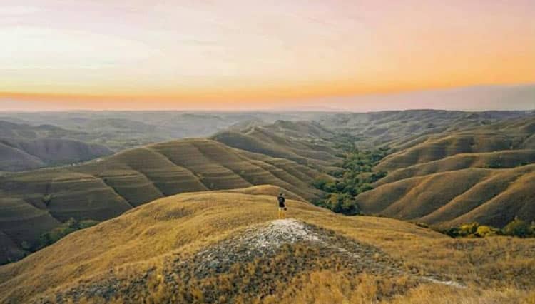 Wisata Bukit Hiliwuku di Sumba Timur Bukan untuk Diperjualbelikan