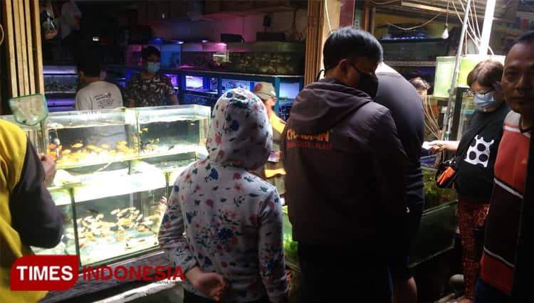 Pasar Splendid, Ladang Rezeki untuk Berjualan Ikan Hias